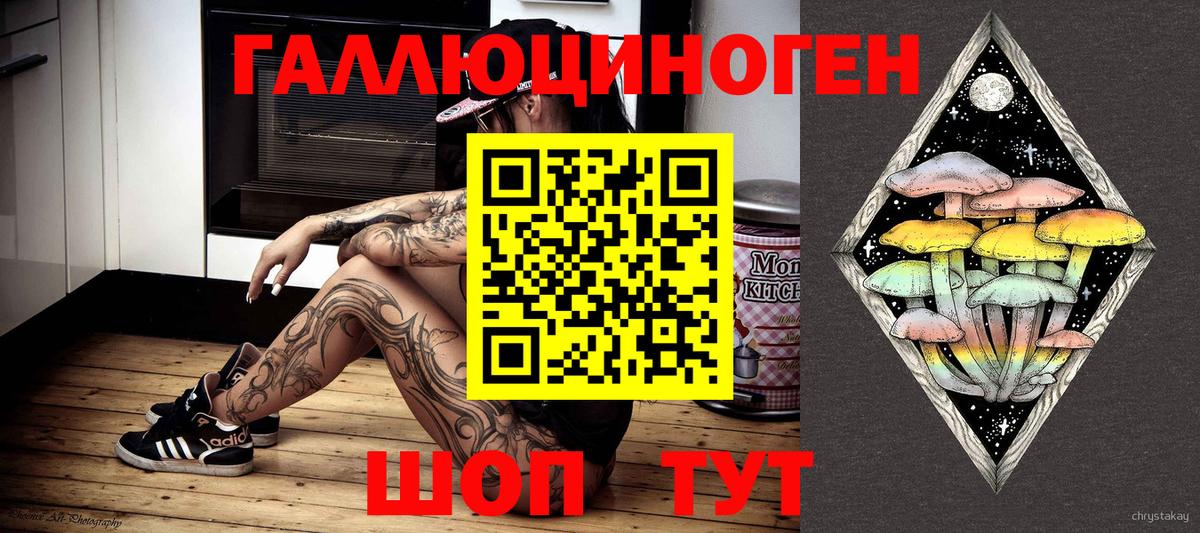 Псилоцибиновые грибы Psilocybine cubensis Сергиев Посад