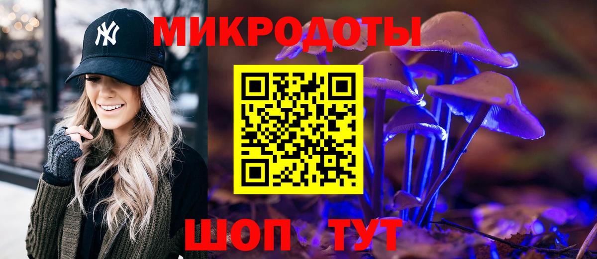Сергиев Посад  Псилоцибиновые грибы Magic Shrooms  наркошоп  Вход с VPN  Галлюциногенные грибы Psilocybe 